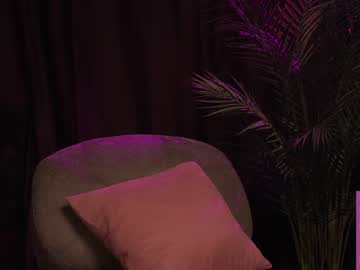 webpetite